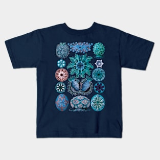 Ernst Haeckel Ascidiae Sea Squirts Teal Kids T-Shirt